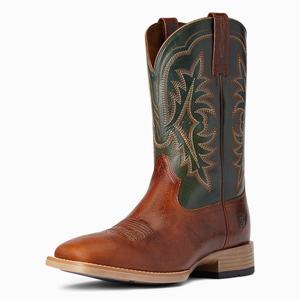 Pánské Westernové Boty Ariat Ryden Ultra Viacfarebný | PVGQ-36957