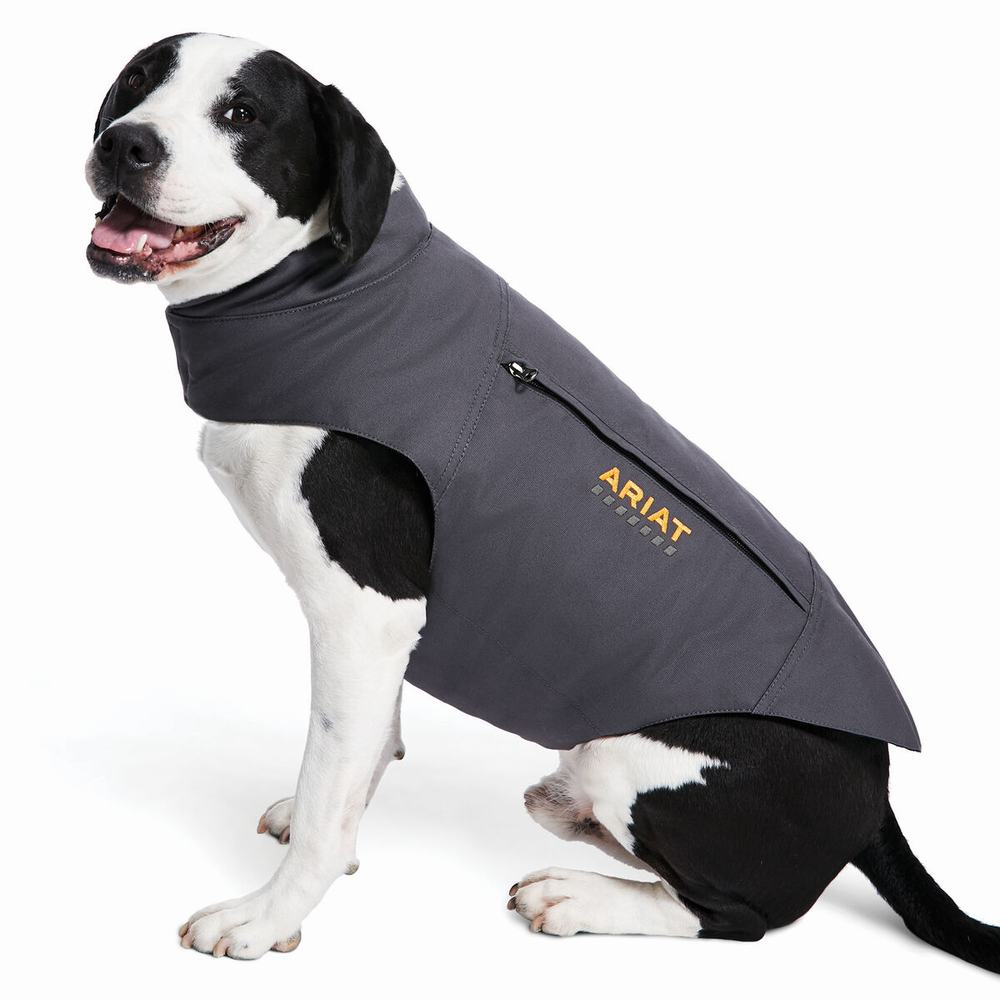 Dámské Doplňky Ariat Rebar DuraCanvas Insulated Dog Šedé | KTRD-08472