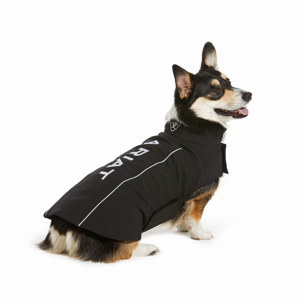 Dámské Doplňky Ariat Team Softshell Dog Černé | CUVB-06738