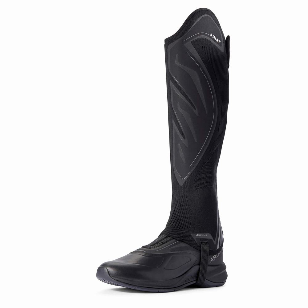 Dámské Jezdecké Boty Ariat Ascent Half Chap Černé | LJXI-94283