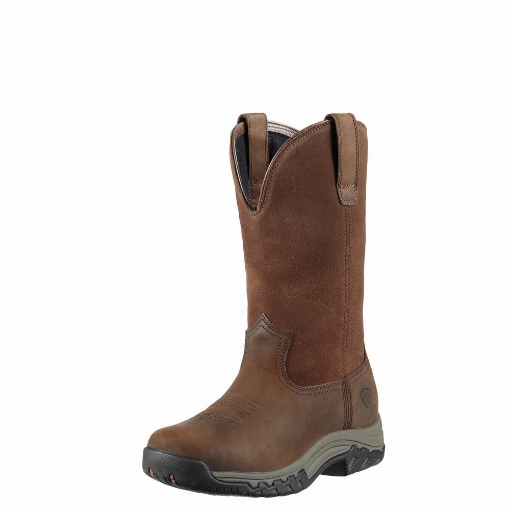 Dámské Jezdecké Boty Ariat Terrain Pull On Nepromokavé Hnědé | CQNT-23687