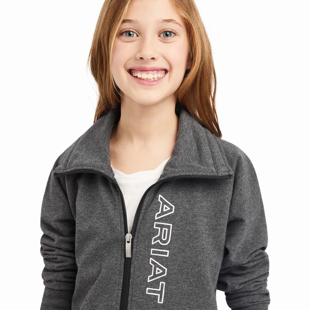 Dětské Mikiny S Kapucí Ariat Team Logo Full Zip Šedé | MLOC-18625