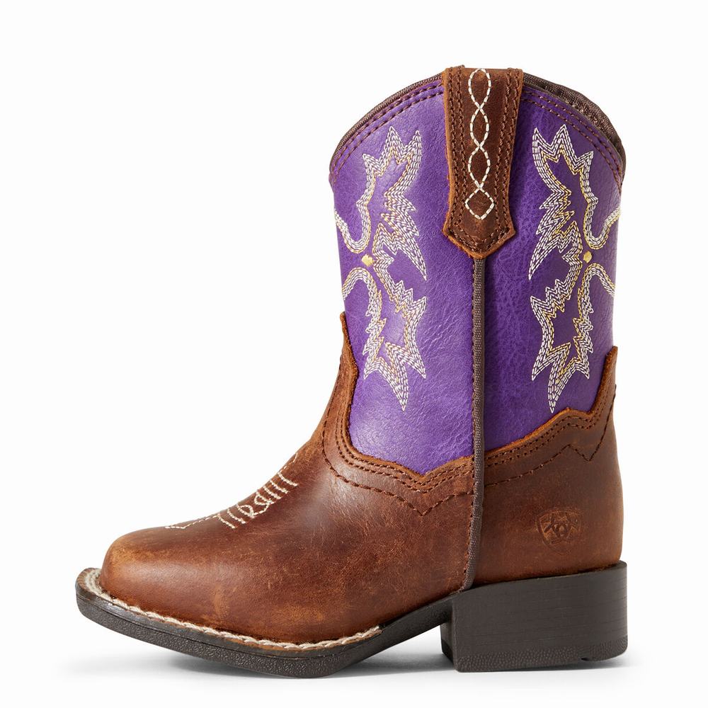 Dětské Westernové Boty Ariat Lil' Stompers Calabasas Hnědé | PCLB-01389