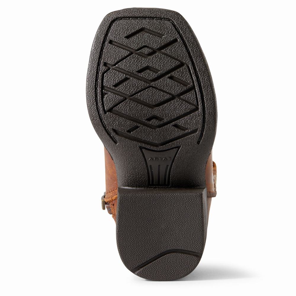 Dětské Westernové Boty Ariat Lil' Stompers Calabasas Hnědé | PCLB-01389