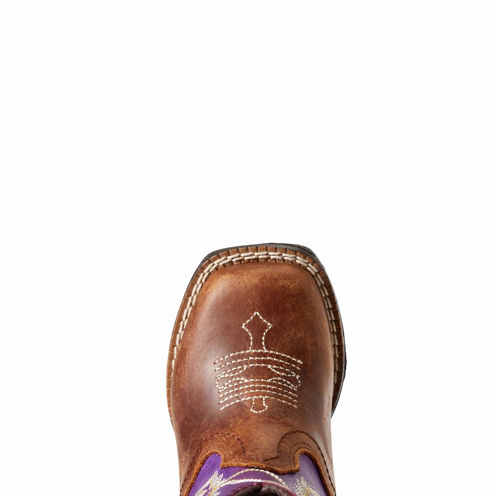 Dětské Westernové Boty Ariat Lil' Stompers Calabasas Hnědé | PCLB-01389