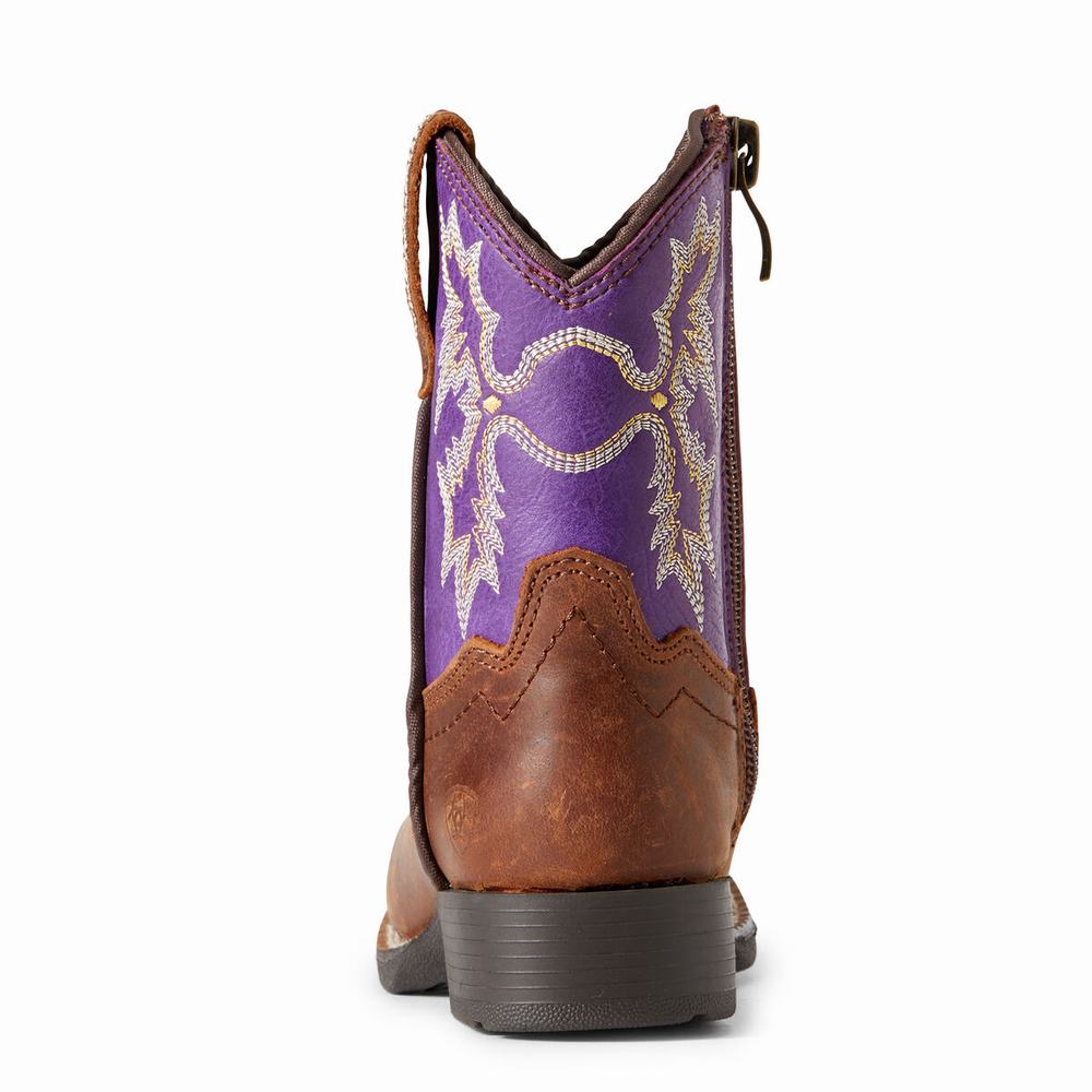 Dětské Westernové Boty Ariat Lil' Stompers Calabasas Hnědé | PCLB-01389