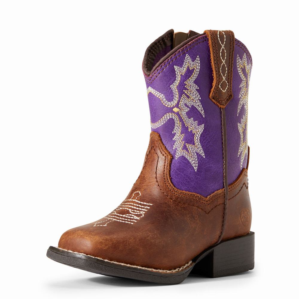 Dětské Westernové Boty Ariat Lil\' Stompers Calabasas Hnědé | PCLB-01389