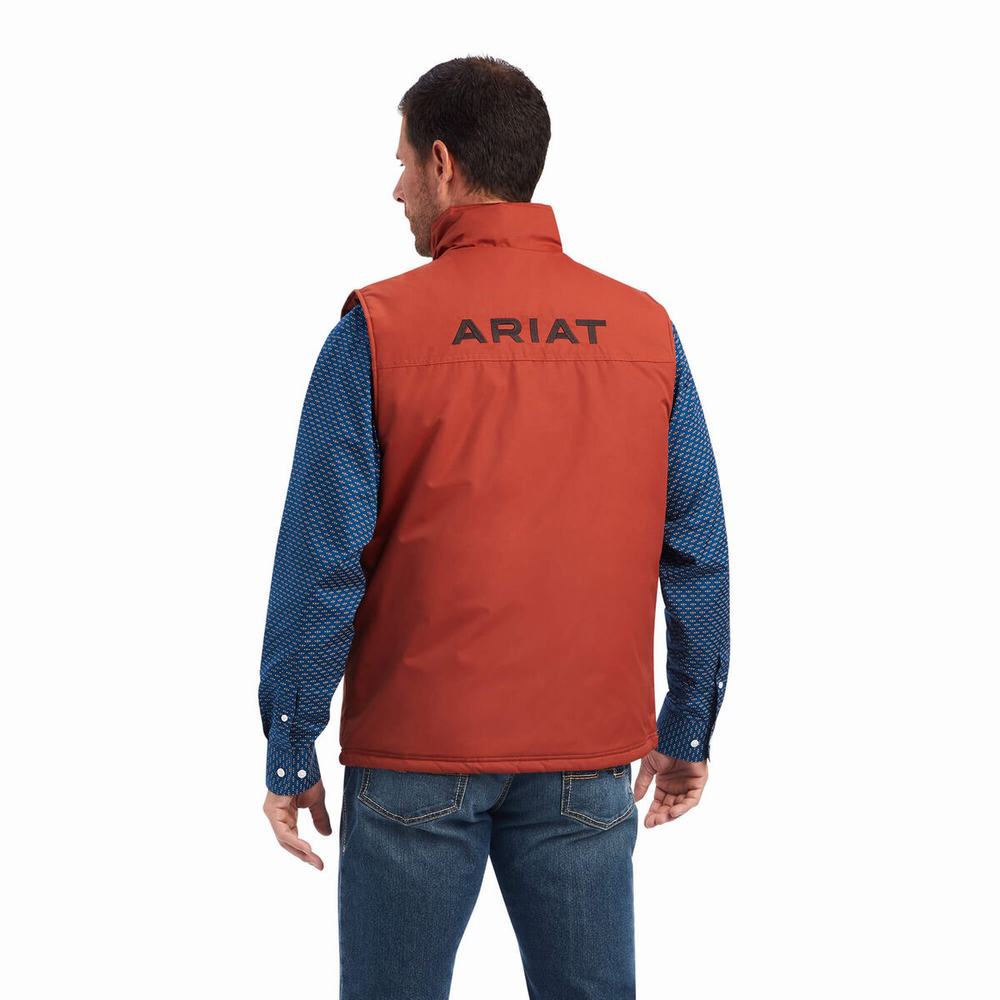 Pánské Bundy Ariat Team Logo Insulated Hnědé | CYRS-38917