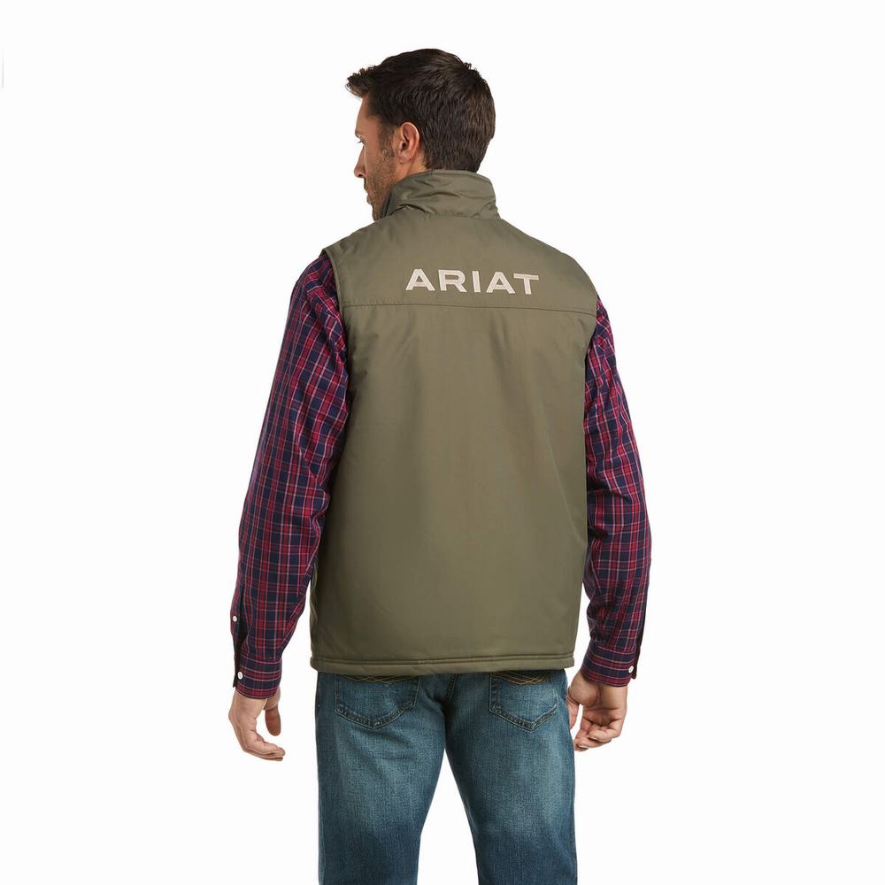 Pánské Bundy Ariat Team Logo Insulated Viacfarebný | JDTW-06437