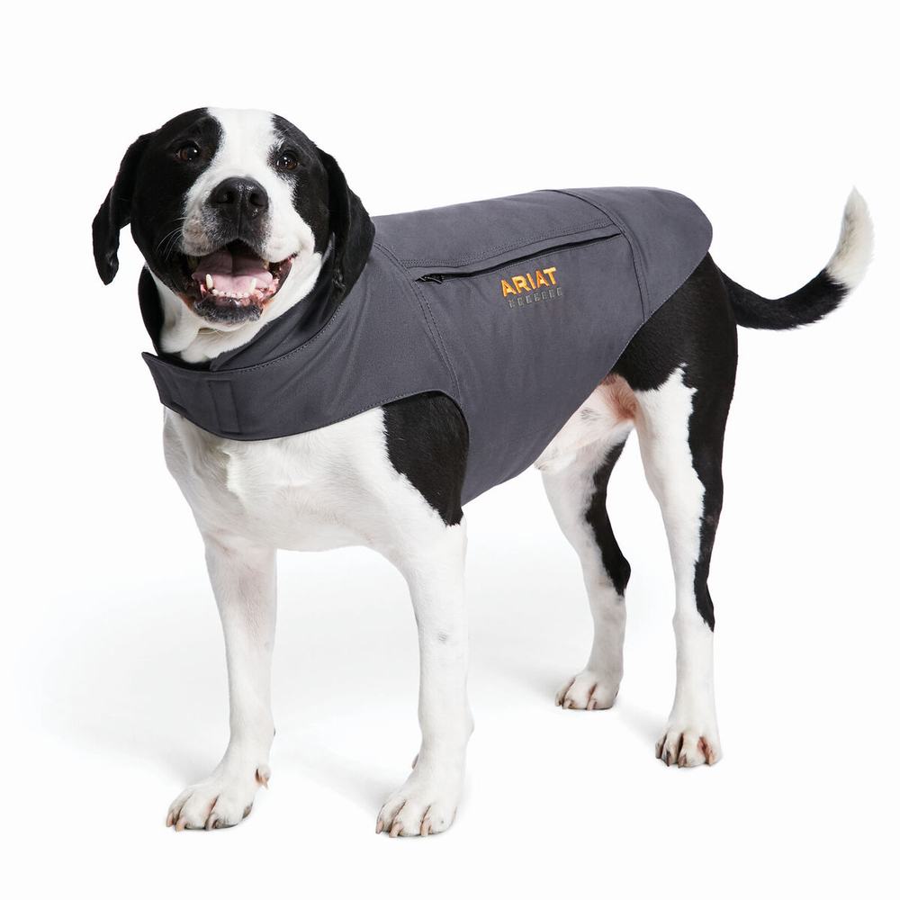 Pánské Doplňky Ariat Rebar DuraCanvas Insulated Dog Šedé | KTDF-41256