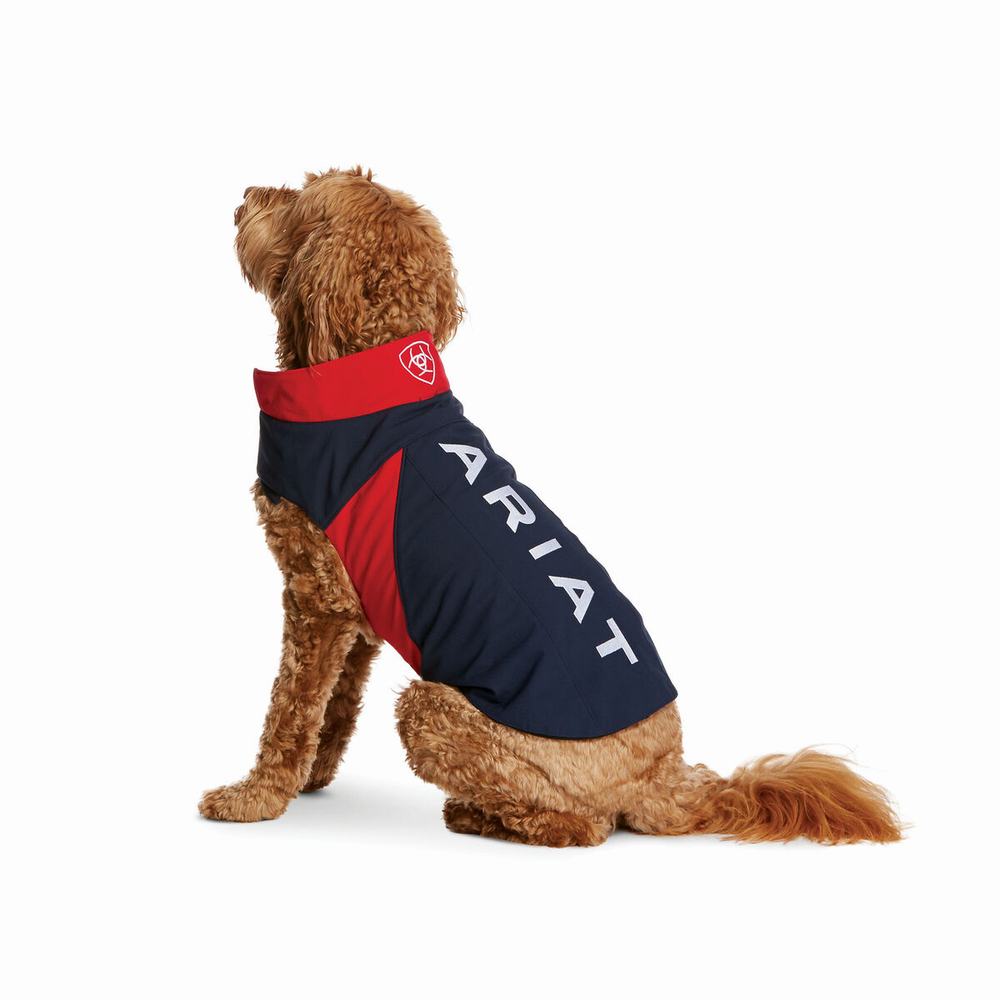 Pánské Doplňky Ariat Team Softshell Dog Viacfarebný | CRFW-68275