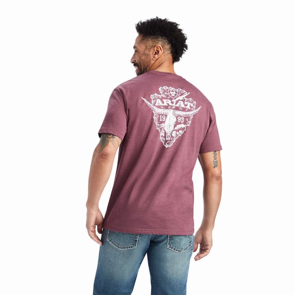 Pánské Polo Triko Ariat Arrowhead 2.0 Vínové | YWUL-41807