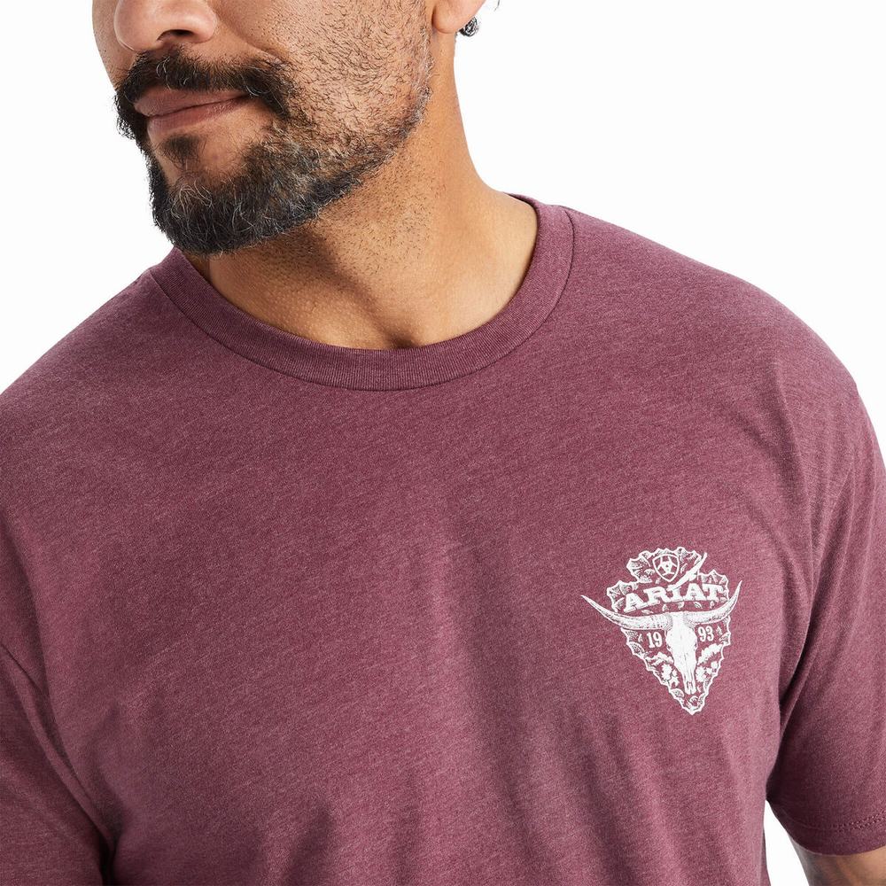 Pánské Polo Triko Ariat Arrowhead 2.0 Vínové | YWUL-41807