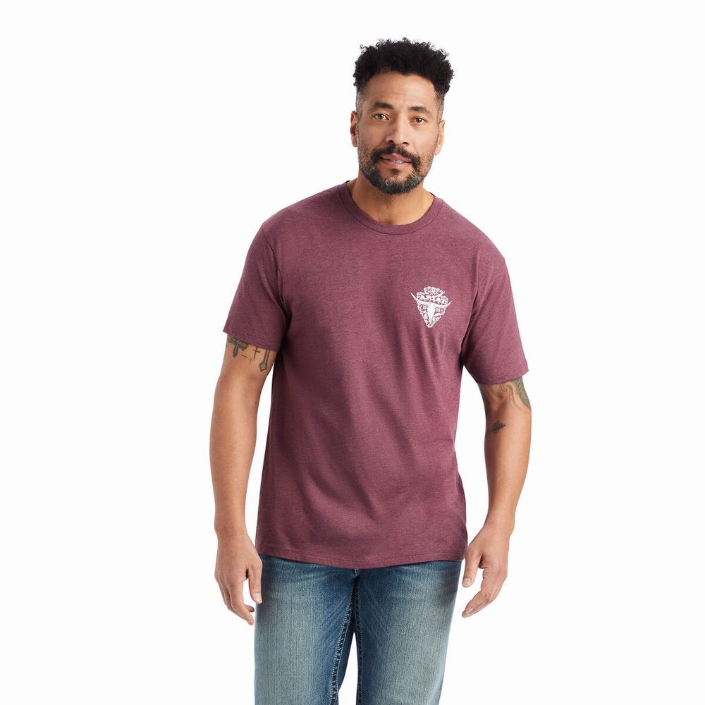 Pánské Polo Triko Ariat Arrowhead 2.0 Vínové | YWUL-41807